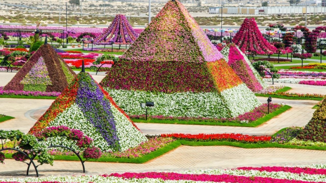 Dubai Miracle Garden The Most Beautiful And Largest Flower Garden In World